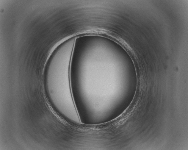 X0000087620838200704271135