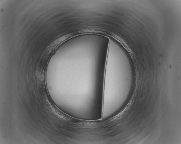 X0000087620841200704271135