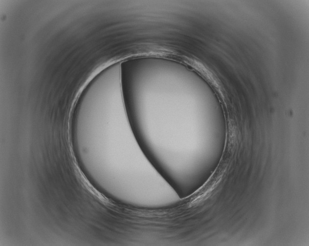 X0000087620843200704271135