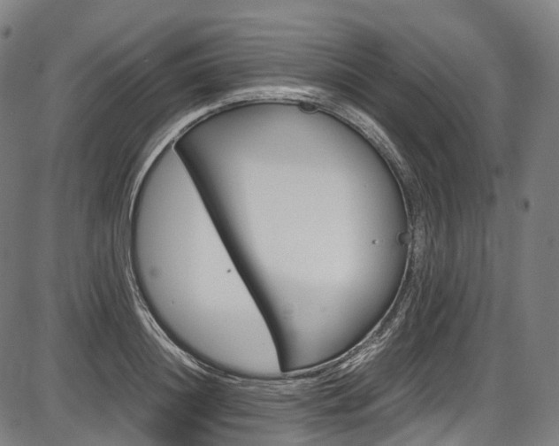 X0000087620844200704271135
