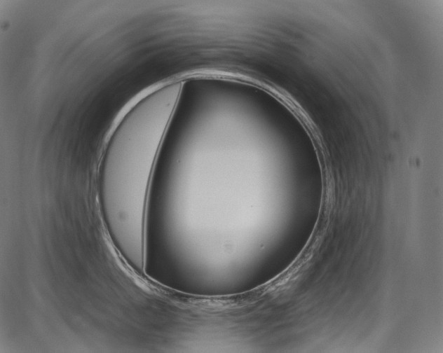 X0000087620862200704271135