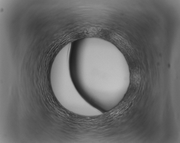 X0000087620865200704271134