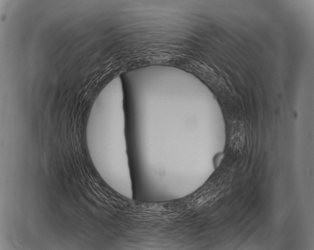 X0000087620866200704271134
