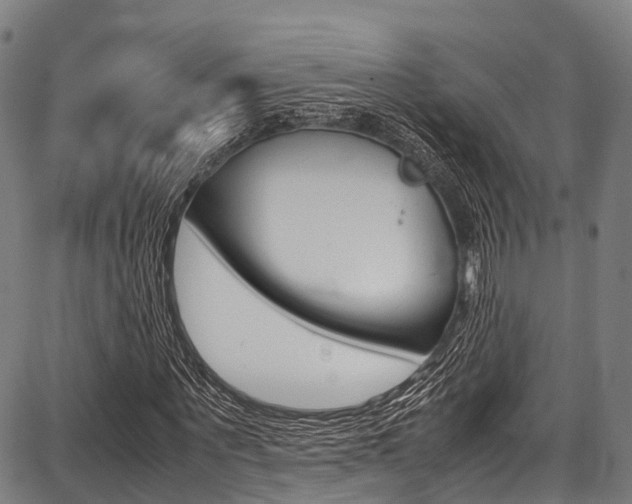 X0000087620867200704271134