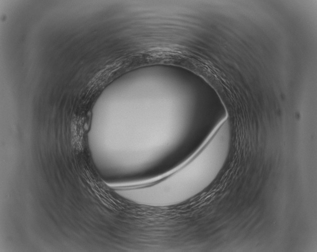 X0000087620868200704271134