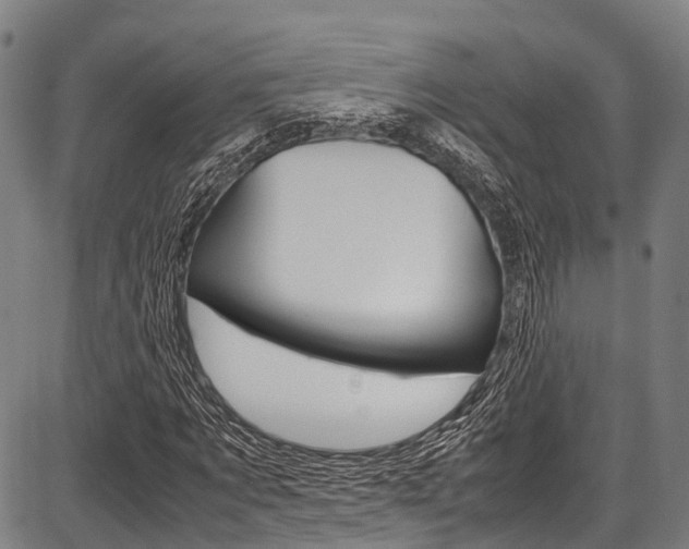 X0000087620869200704271134