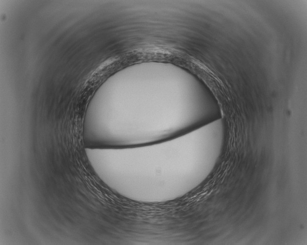 X0000087620870200704271134