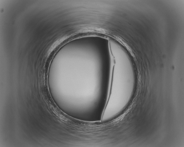 X0000087620877200704271134