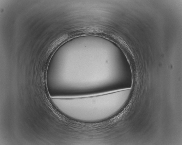 X0000087620881200704271134