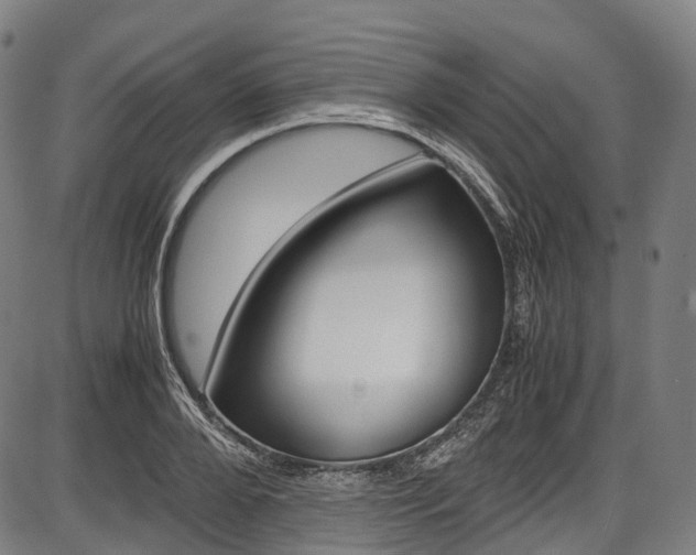 X0000087620888200704271134