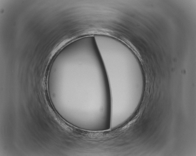 X0000087620893200704271134