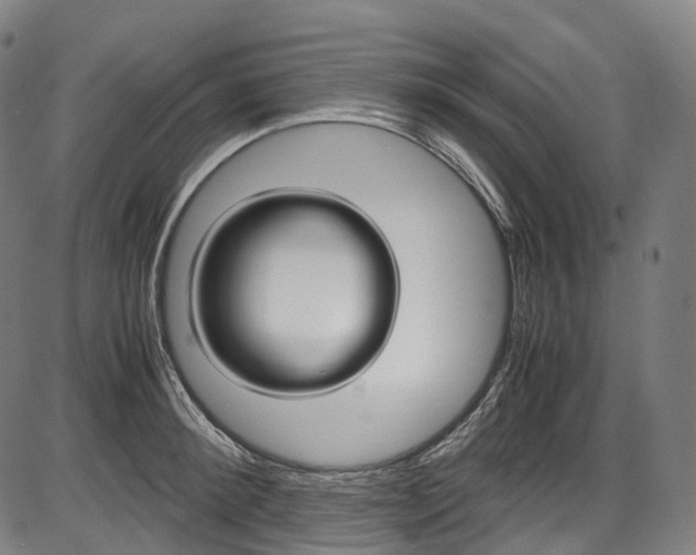 X0000087620900200704271134