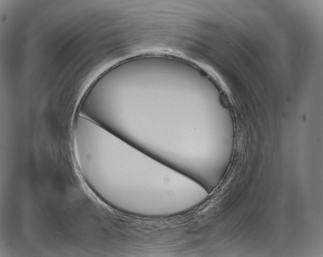 X0000087620903200704271134