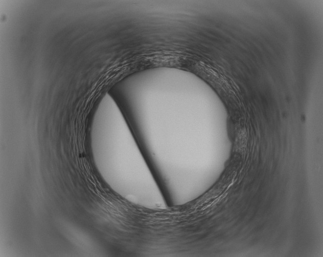 X0000087620913200704271133