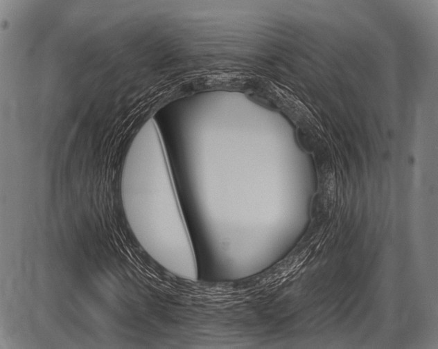 X0000087620914200704271133