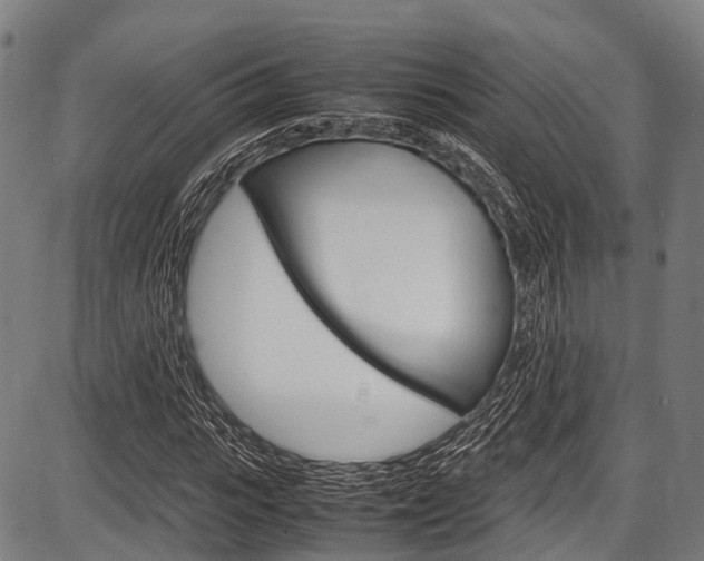 X0000087620919200704271133
