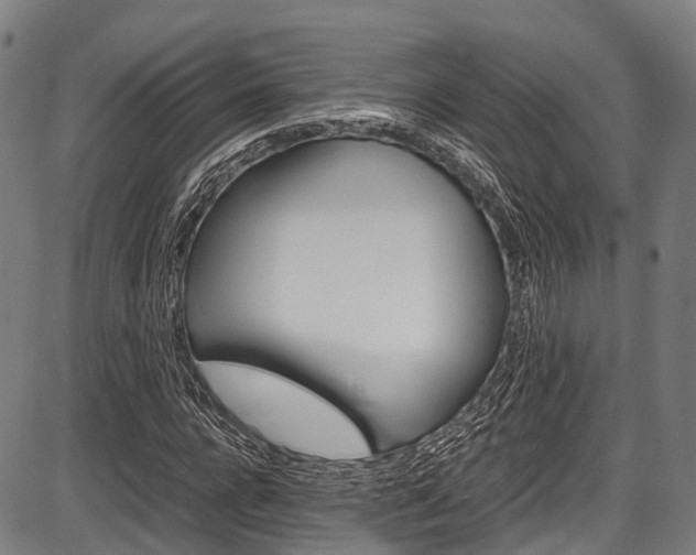 X0000087620920200704271133