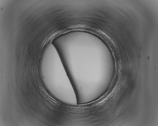 X0000087620921200704271133