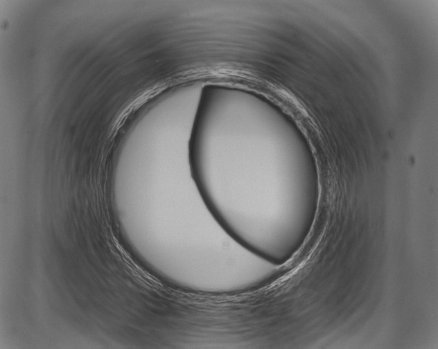 X0000087620922200704271133