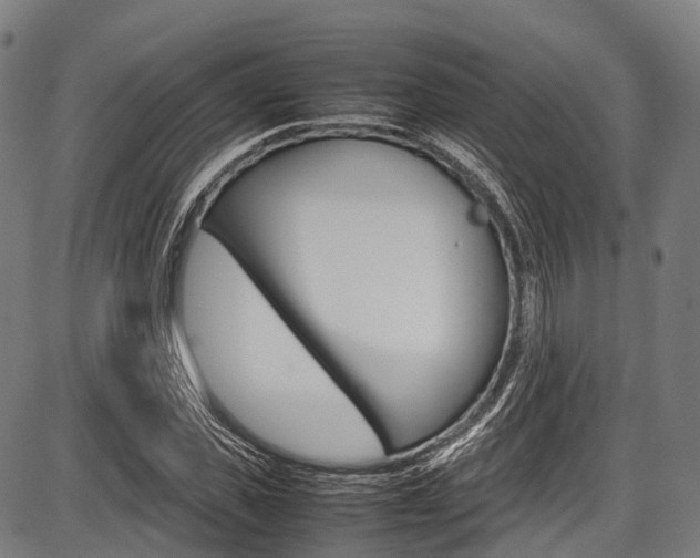 X0000087620925200704271133