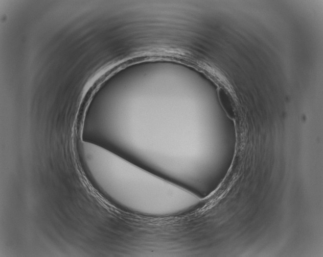 X0000087620928200704271133