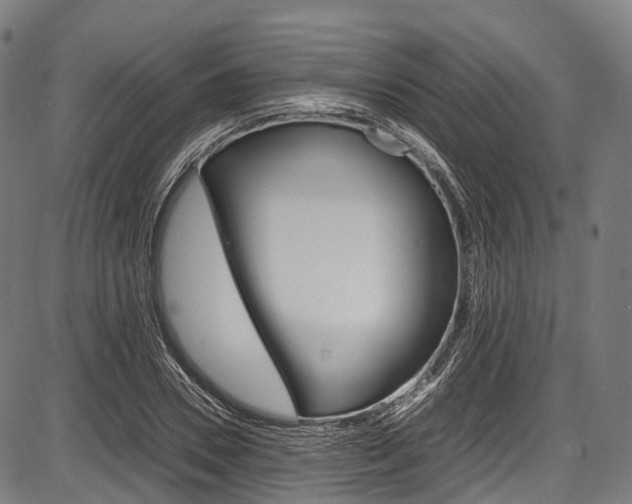 X0000087620930200704271133
