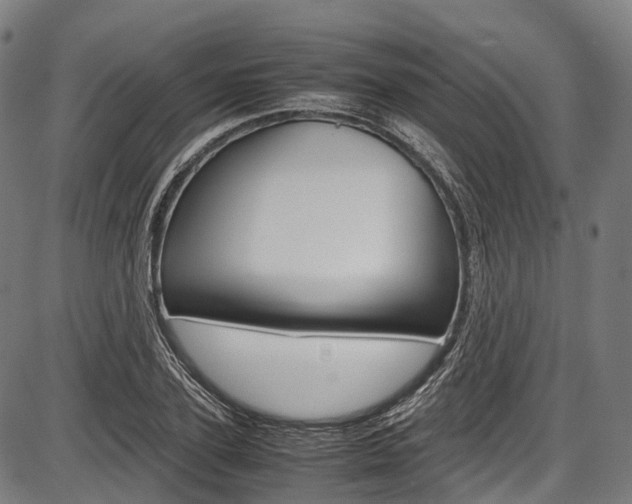 X0000087620931200704271133