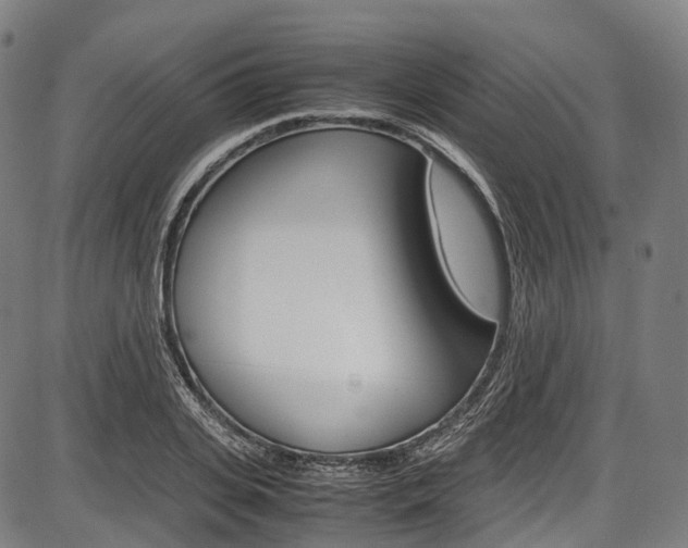 X0000087620935200704271133