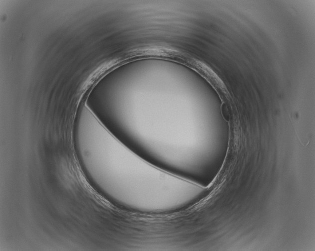 X0000087620938200704271133