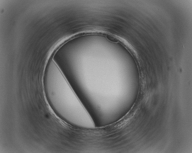 X0000087620943200704271133