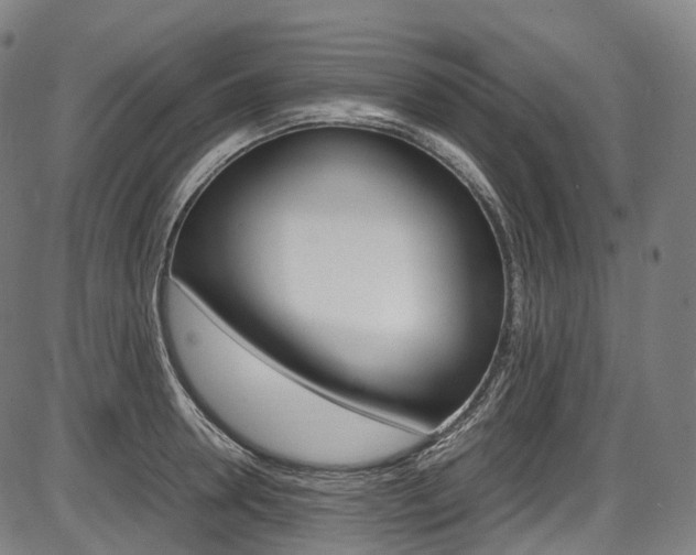X0000087620946200704271133