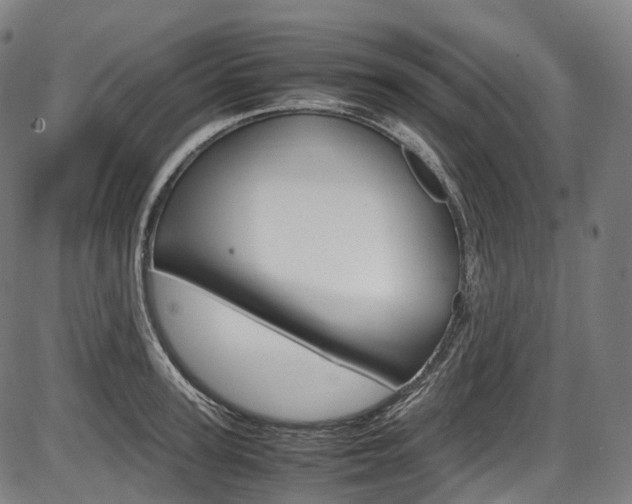 X0000087620947200704271133