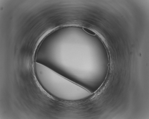 X0000087620949200704271133
