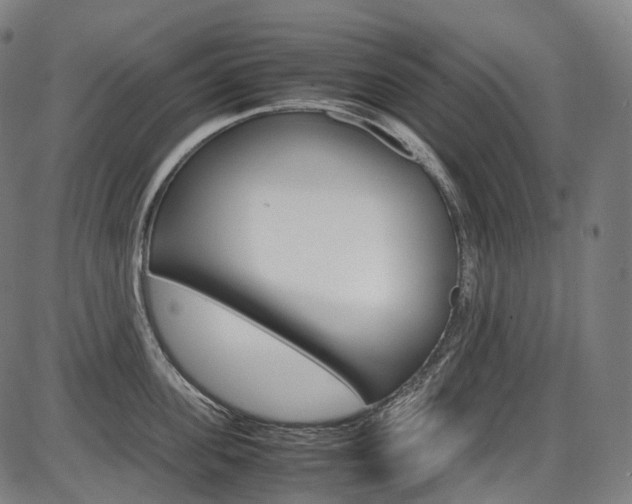 X0000087620955200704271134