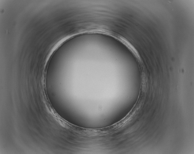 X0000087620956200704271134