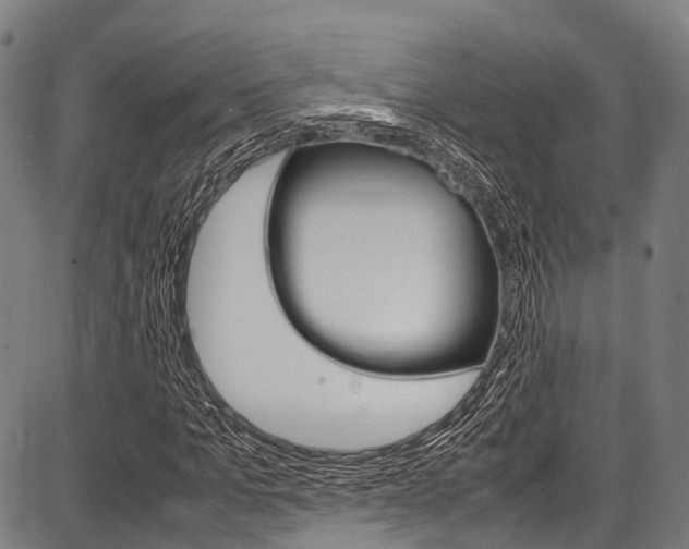 X0000087620965200704271133