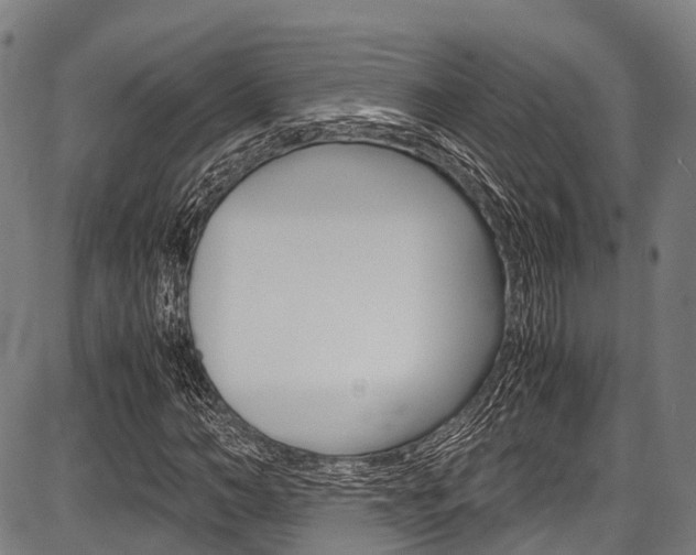 X0000087620966200704271133