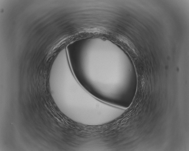 X0000087620968200704271133