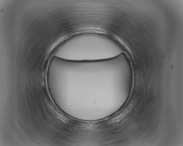 X0000087620970200704271133