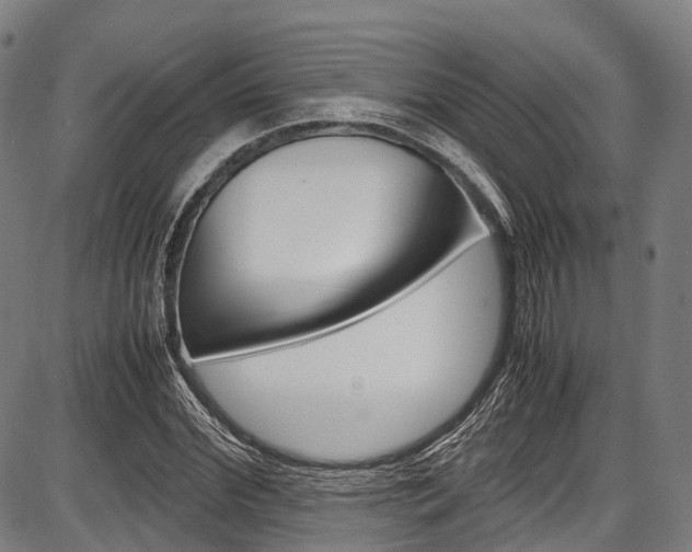 X0000087620972200704271133