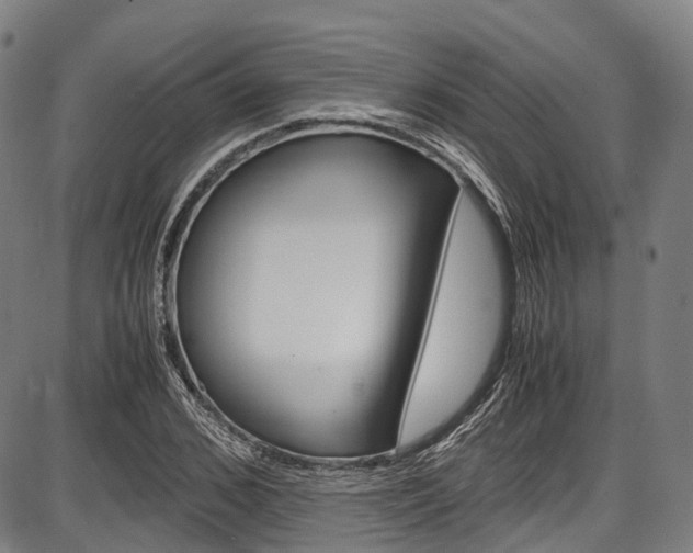 X0000087620976200704271133