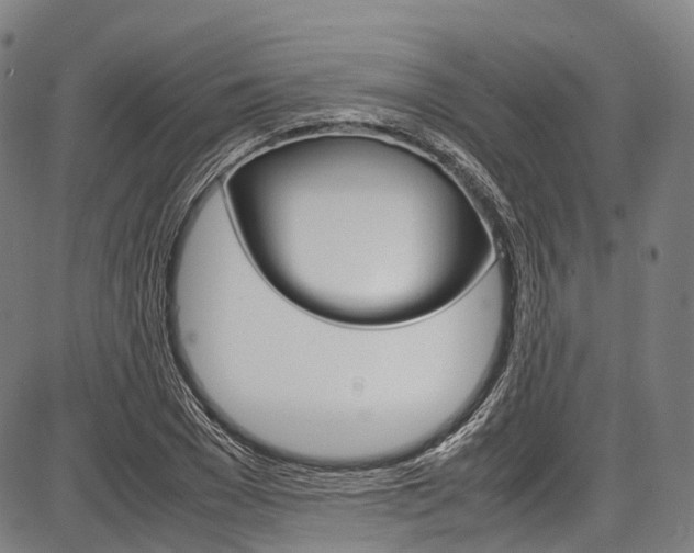 X0000087620977200704271133