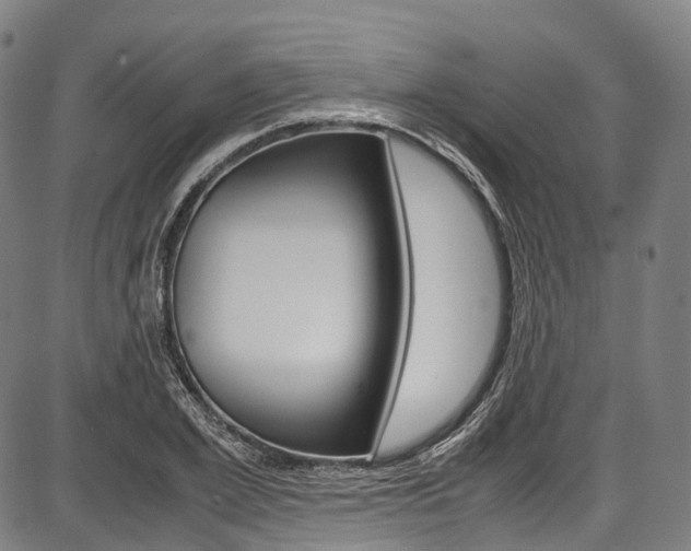 X0000087620981200704271133