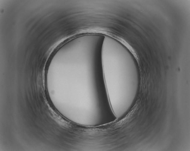 X0000087620988200704271132