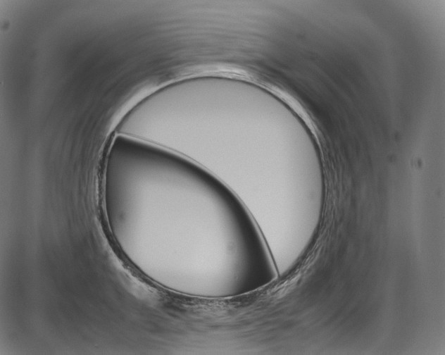 X0000087620999200704271132