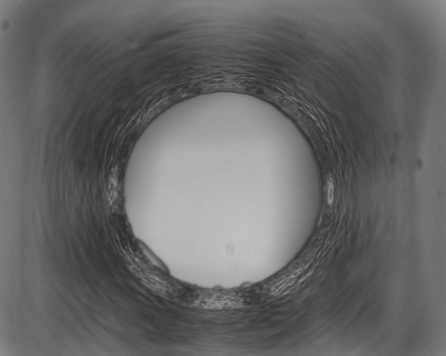 X0000087621011200704271131