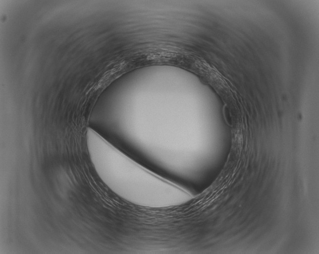 X0000087621012200704271131