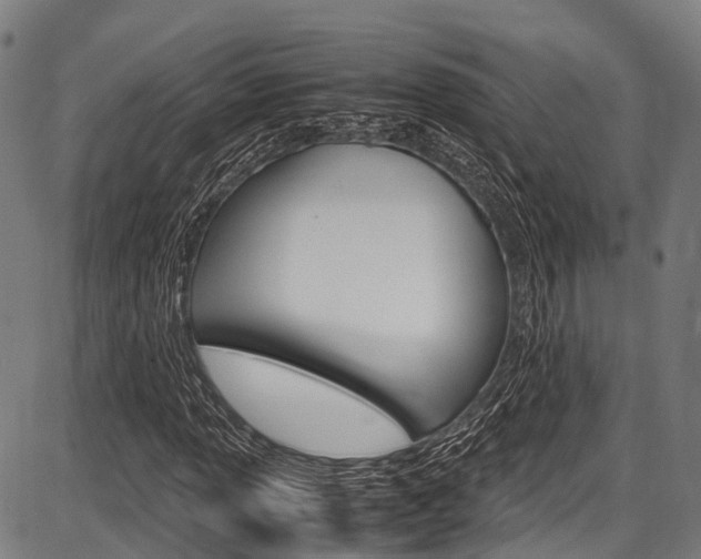 X0000087621013200704271131