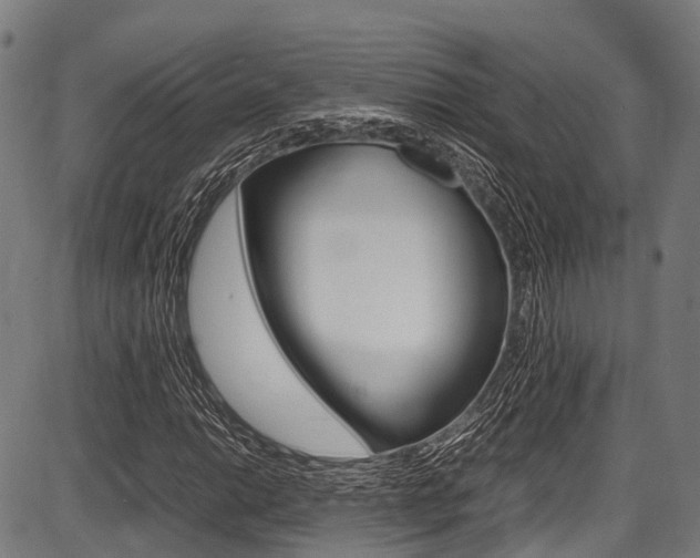 X0000087621014200704271131