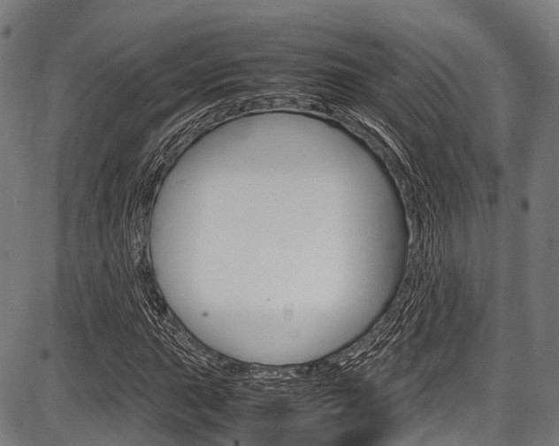 X0000087621015200704271131